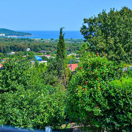 Aspen 普里莫尔斯科